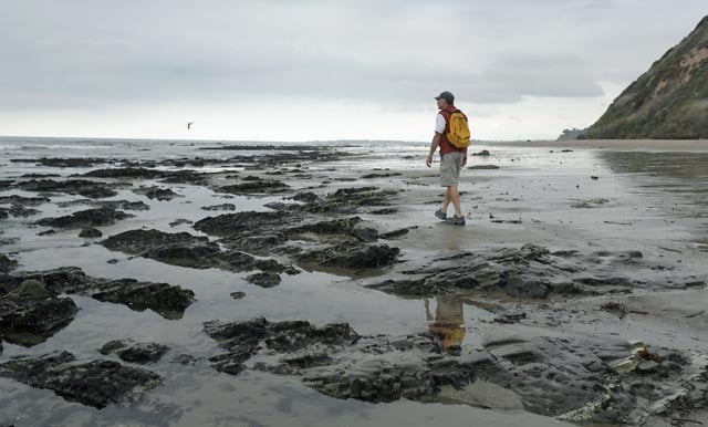 Stride by the Tide 2